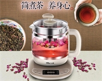 養(yǎng)生壺