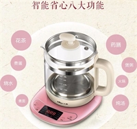 養(yǎng)生壺