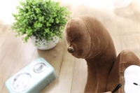 熊出沒(méi)頸枕
