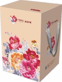 藝術(shù)手繪蠶絲被（冬） PG-B2008