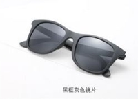 近視/陽光兩用防護(hù)太陽鏡 L013
