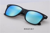 近視/陽光兩用防護(hù)太陽鏡 L013