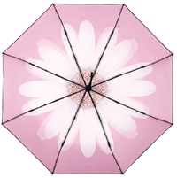 天堂傘 33693E芳華