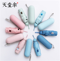 天堂傘 53059E時尚先鋒