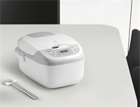 EGRC250 電飯煲