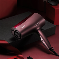 松下 （Panasonic）家用空氣納米水離子大功率網紅電吹風