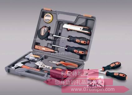 11件家用工具組合套裝PL-002B.jpg