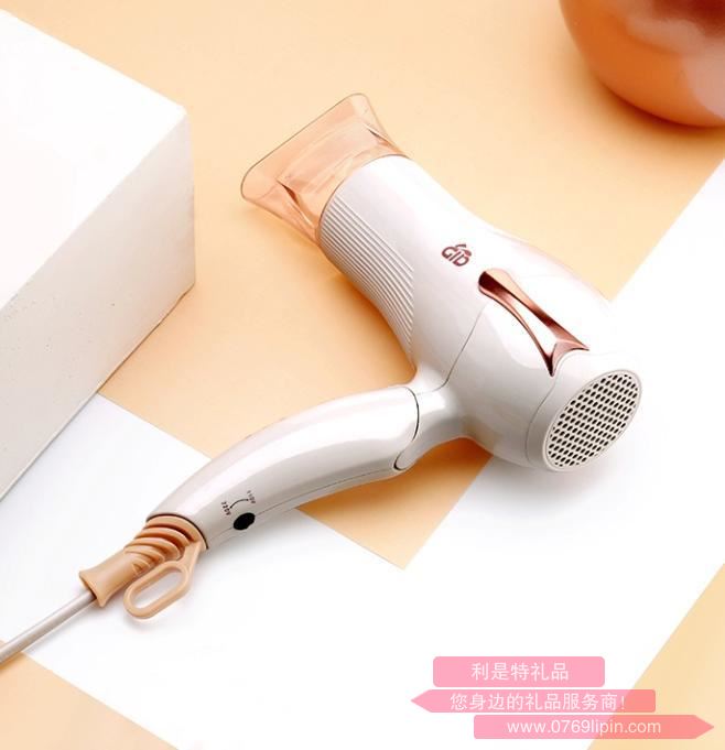 GD-F020V悅雅  電吹風.jpg