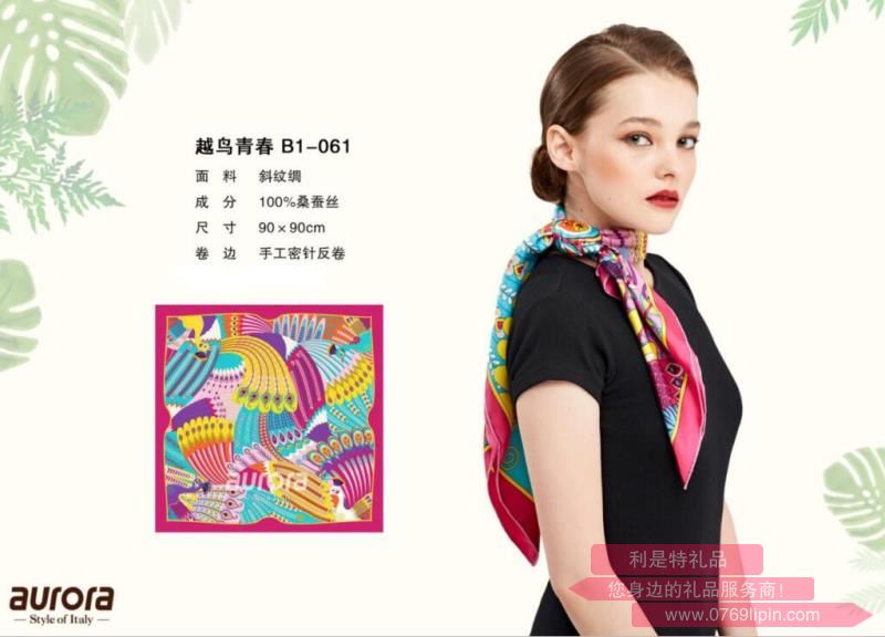 aurora絲巾 越鳥(niǎo)青春 B1—061.jpg