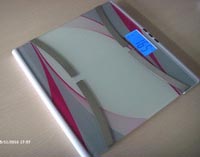 多功能VFS202系列電子秤A